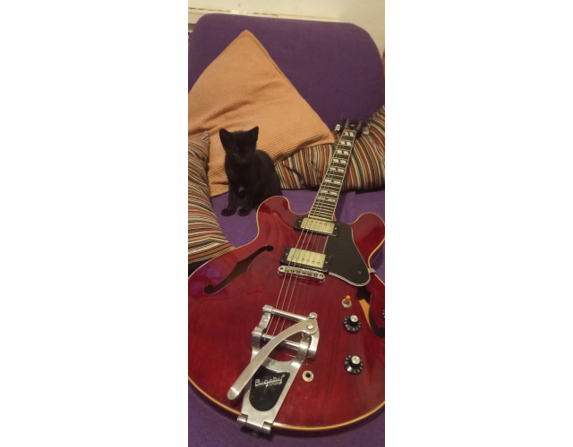 Greco SA700 made in Japan (1976)