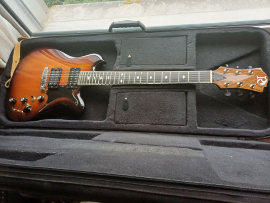 BC Rich Seagull 2 USA 1976 - Solo 20 uds fabricadas. Guitarra de colección