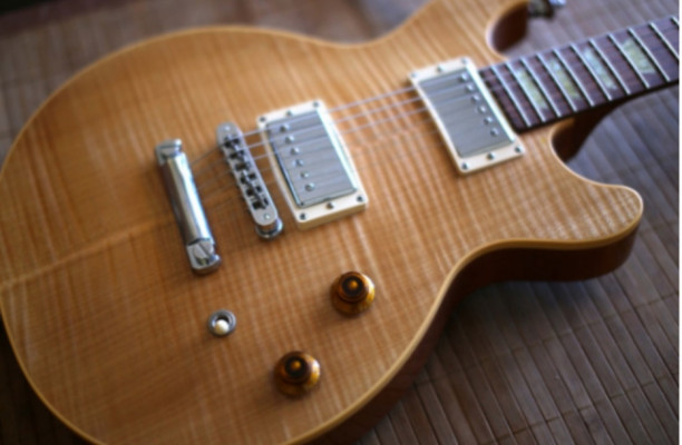 Gibson Les Paul Dc pro natural Blondie