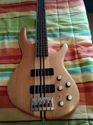 bajo electrico CortA5 korea bartolini +amp vox