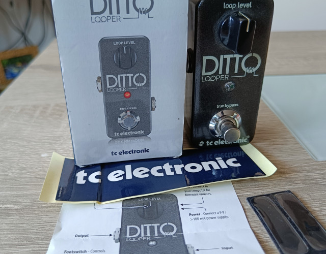 TC electronic Ditto Looper