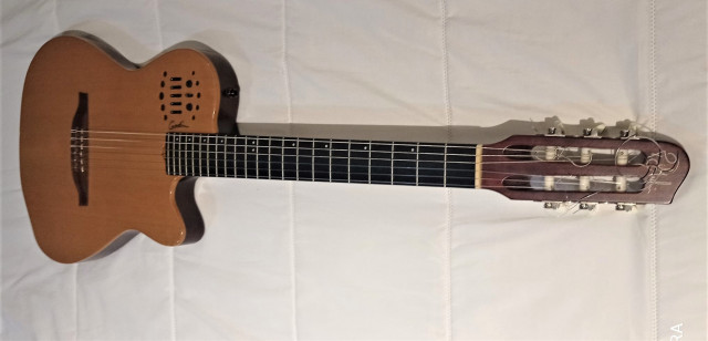 Godin acs sa nylon