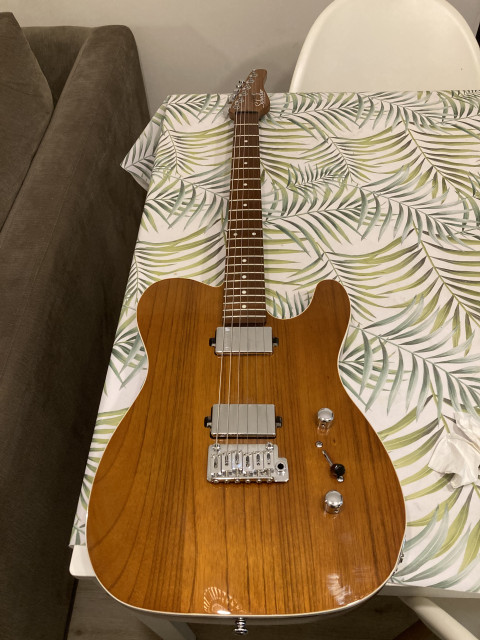 SCHECTER Pt Van Nuys Perfecto estado