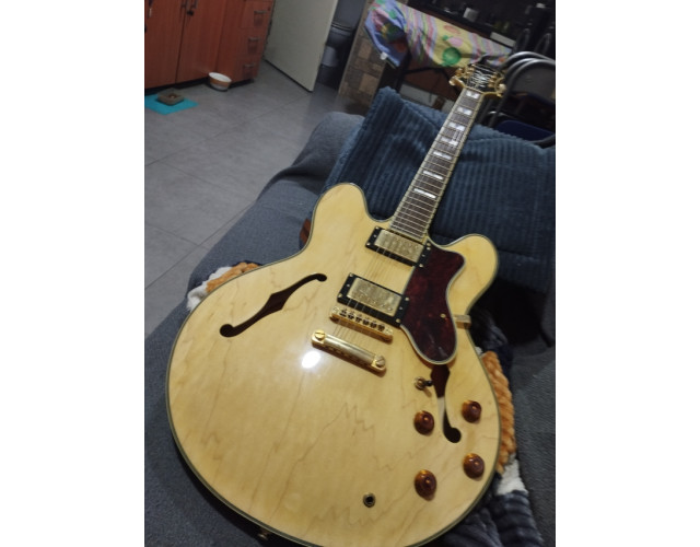 Epiphone Sheraton II