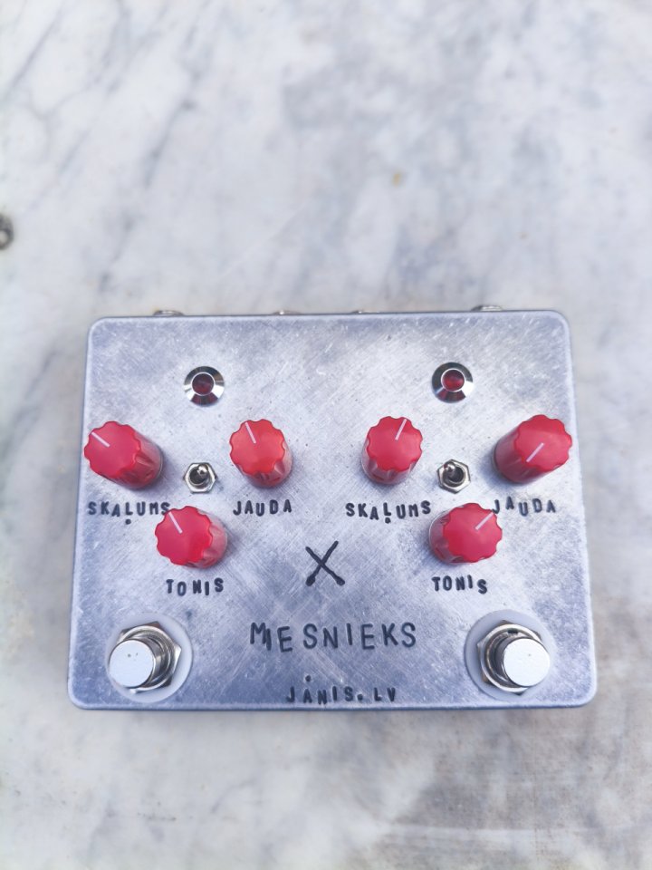 Janis Mesnieks de segunda mano · Foto 1 de 2 · Valencia · 170 €