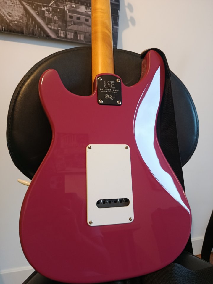 Prs se Silver sky Dragon fruit de segunda mano · Foto 3 de 9 · Cantabria · 600 €