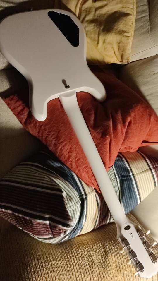 Epiphone Crestwood Custom Tremotone de segunda mano · Foto 3 de 3 · Asturias · 350 €