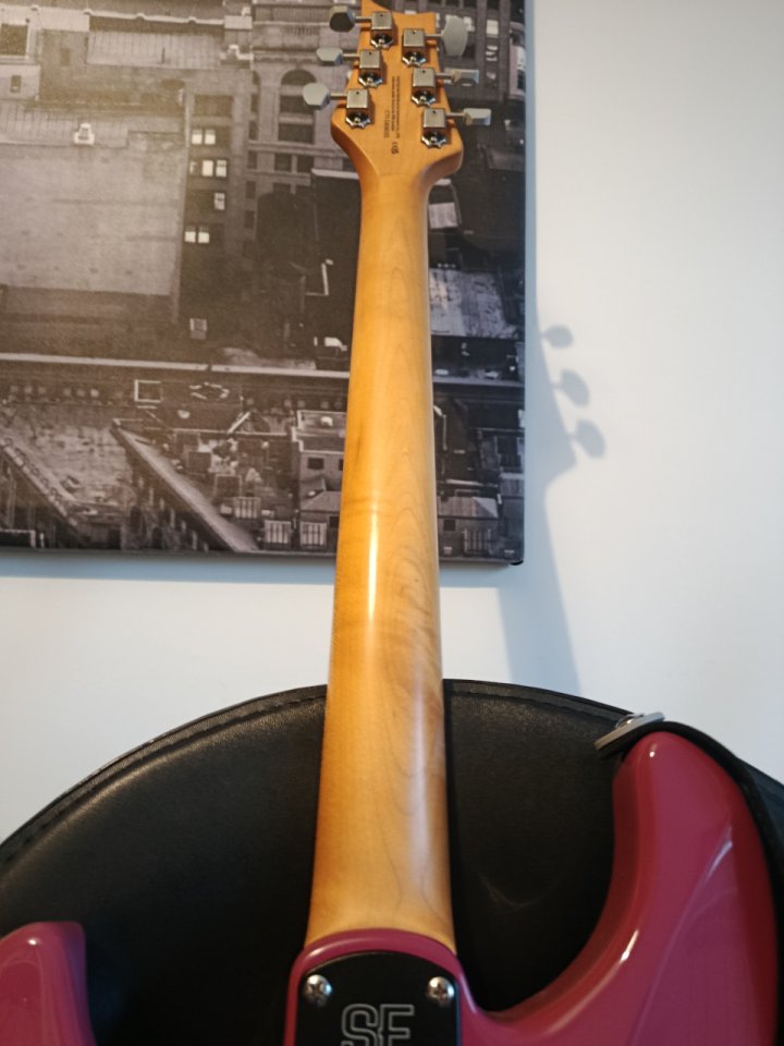 Prs se Silver sky Dragon fruit de segunda mano · Foto 4 de 9 · Cantabria · 600 €