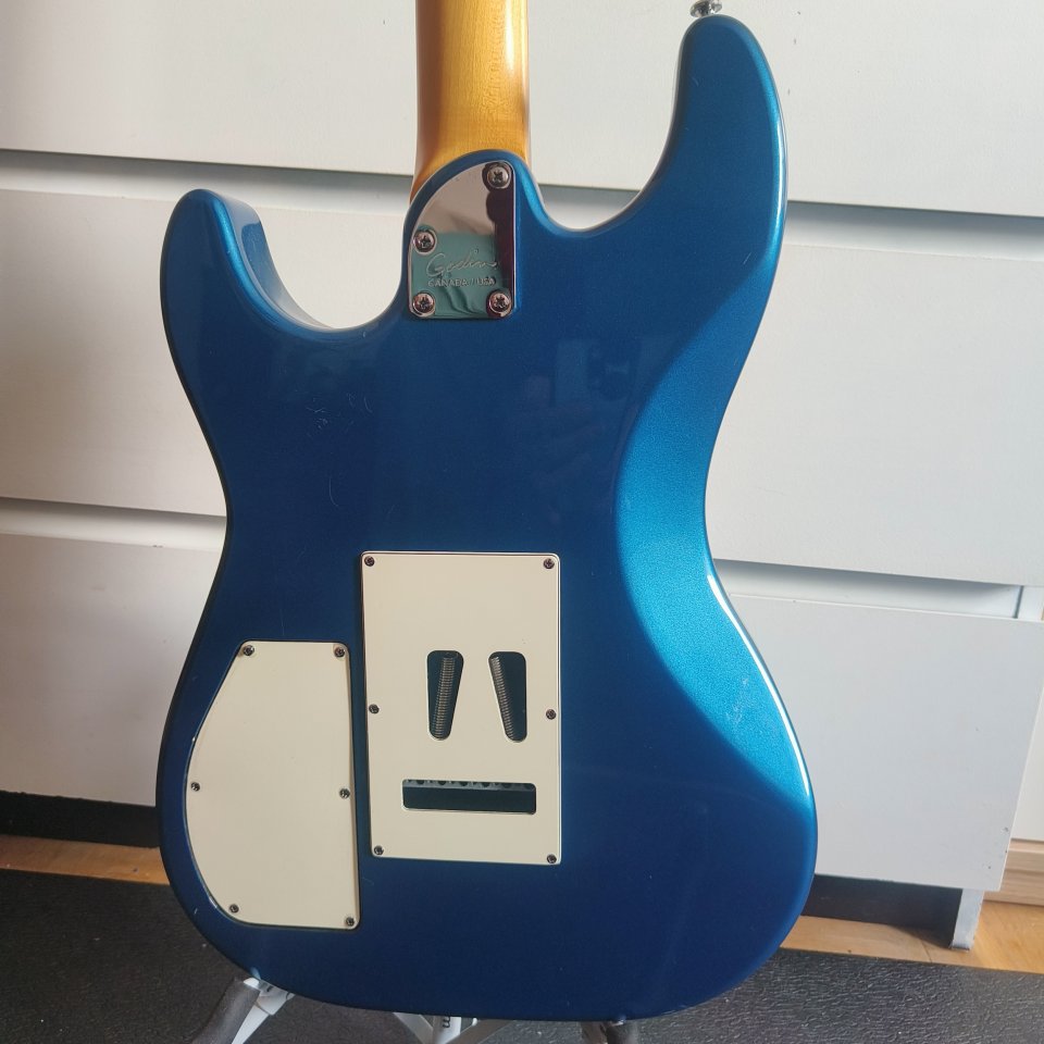 Godin Session HSS 2011