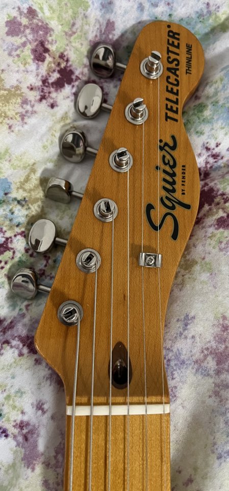 Squier CV Thinline con pastillas Seymour Duncan