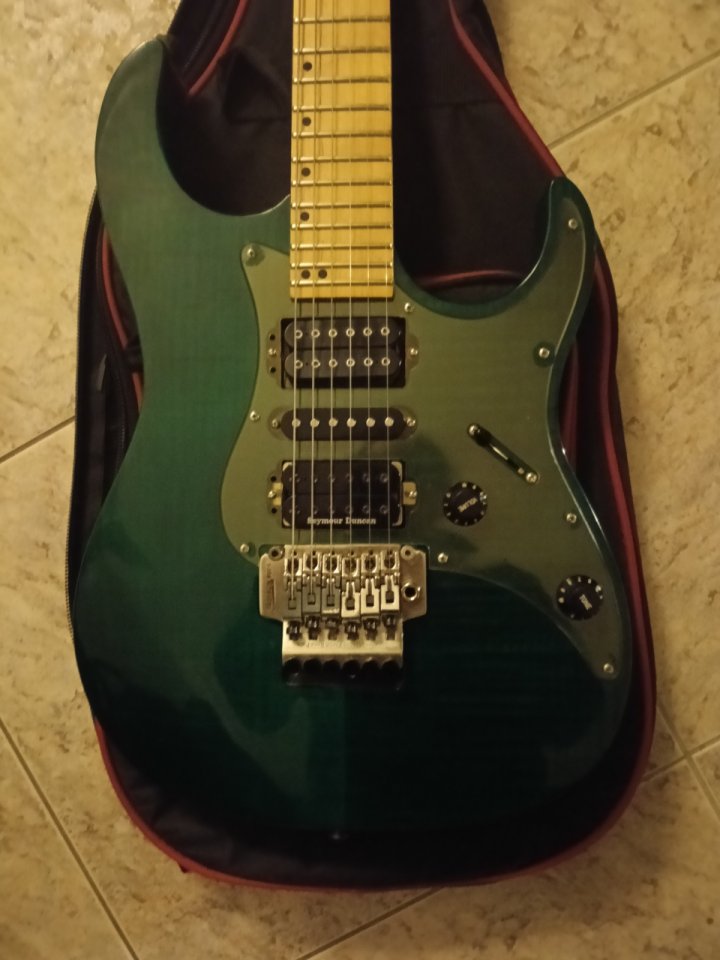 Washburn mg 74 Mercury 1193/94