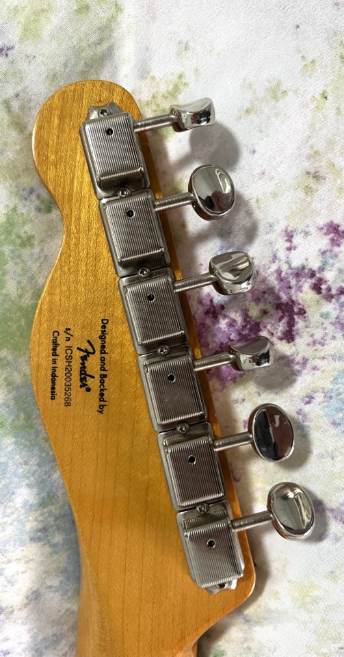 Squier CV Thinline con pastillas Seymour Duncan