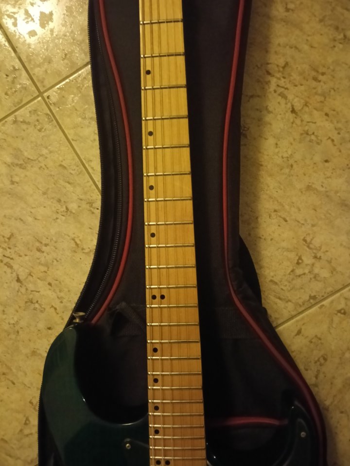 Washburn mg 74 Mercury 1193/94