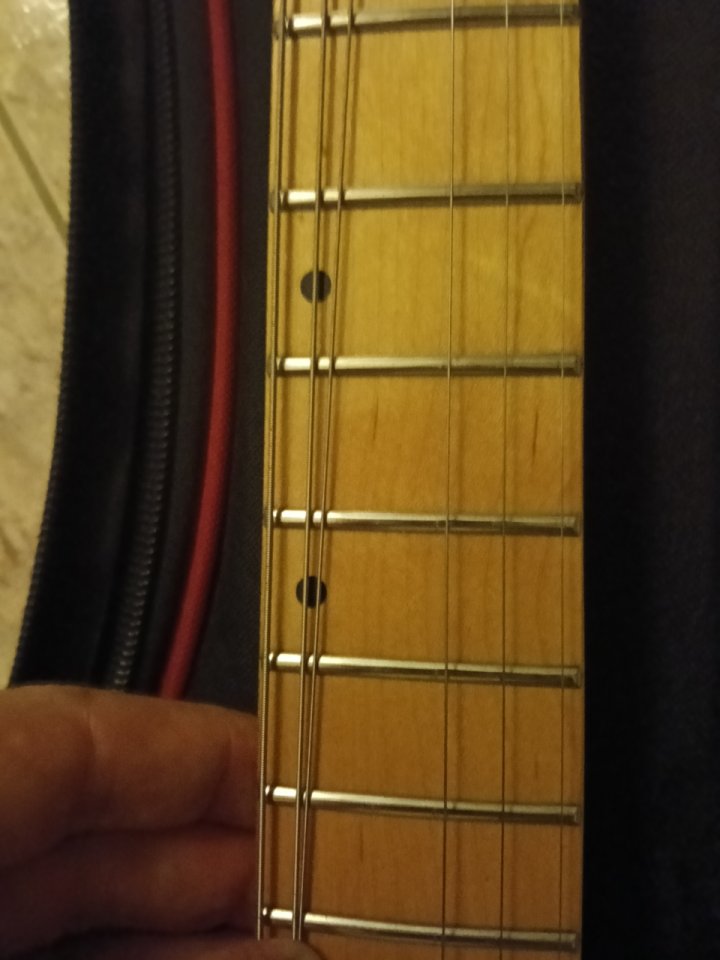 Washburn mg 74 Mercury 1193/94