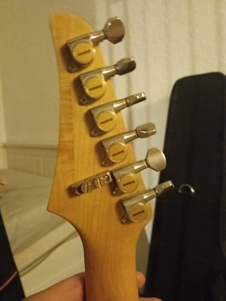 Washburn mg 74 Mercury 1193/94