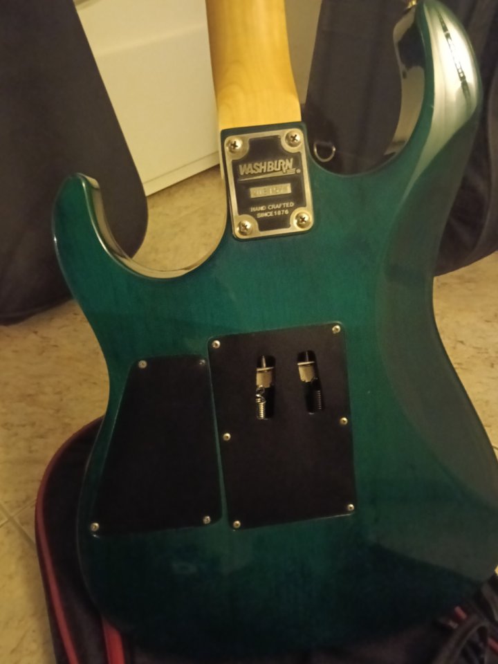 Washburn mg 74 Mercury 1193/94