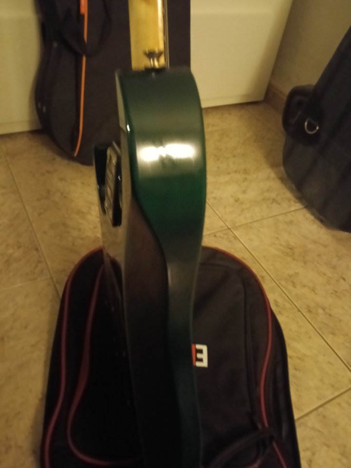 Washburn mg 74 Mercury 1193/94