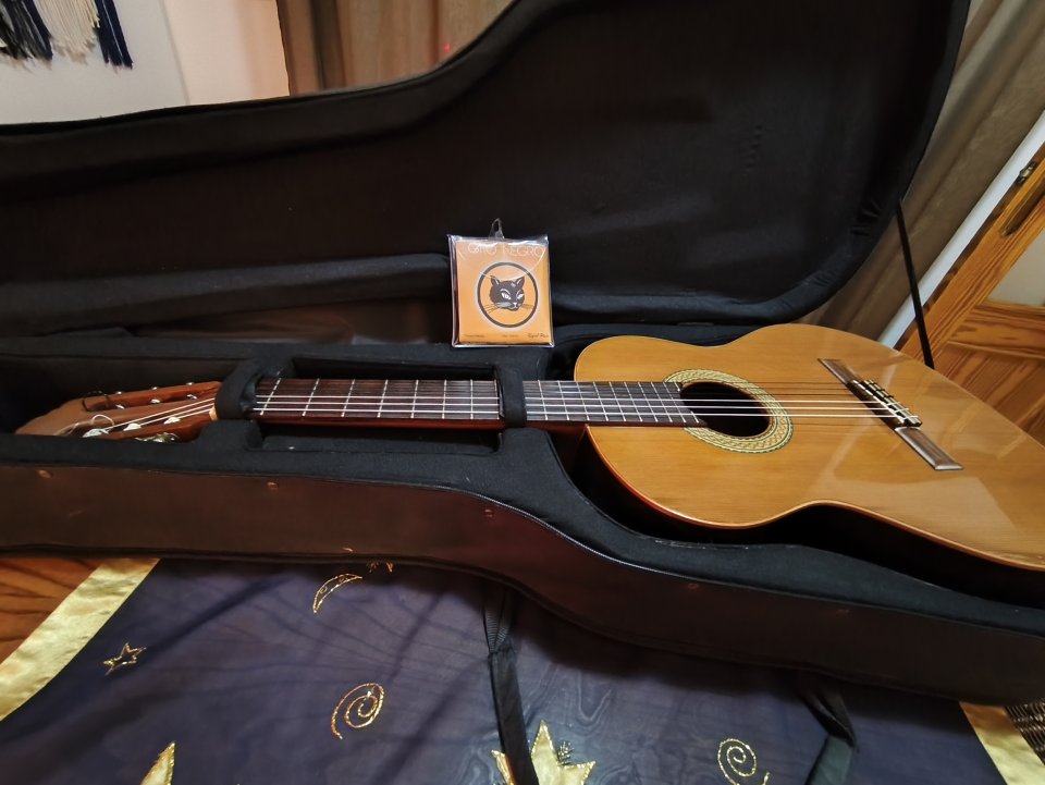 Clásica Almansa Cedro 402