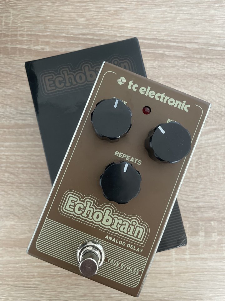 TC Electronic Echobrain analog delay