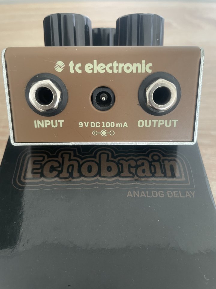 TC Electronic Echobrain analog delay