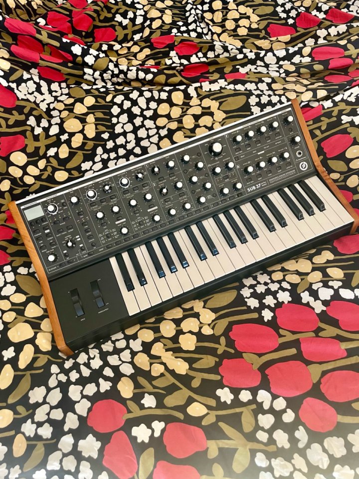 Moog Sub 37 de segunda mano · Foto 1 de 10 · Madrid · 1999 €