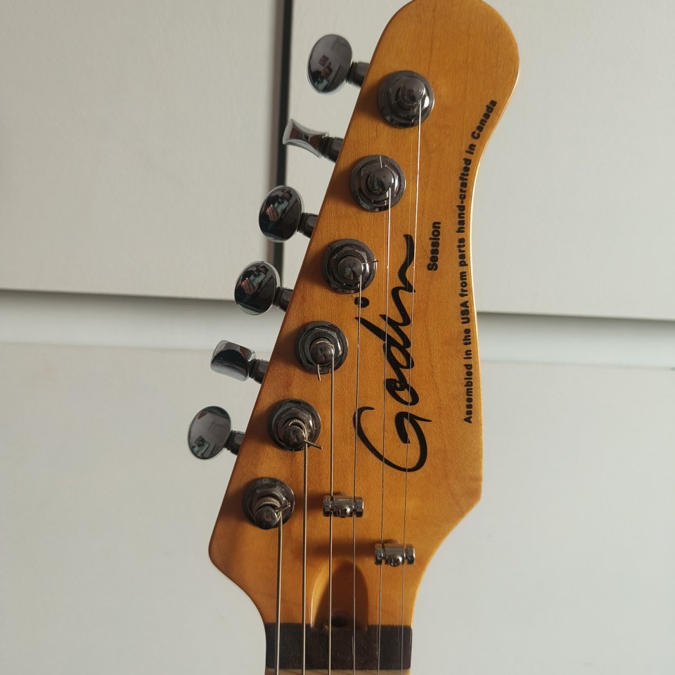 Godin Session HSS 2011