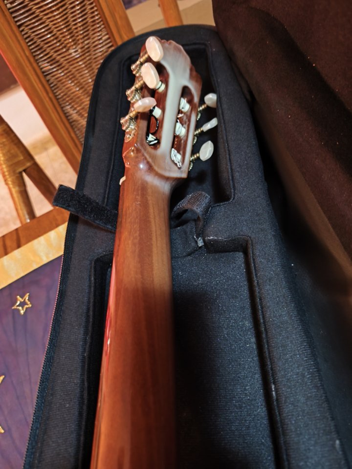 Clásica Almansa Cedro 402