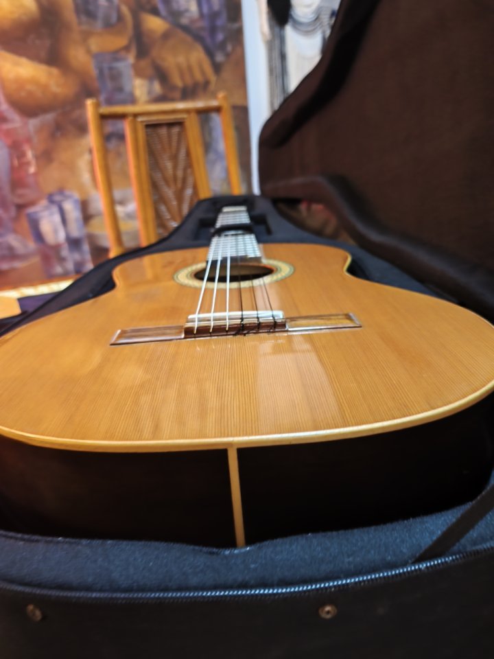 Clásica Almansa Cedro 402