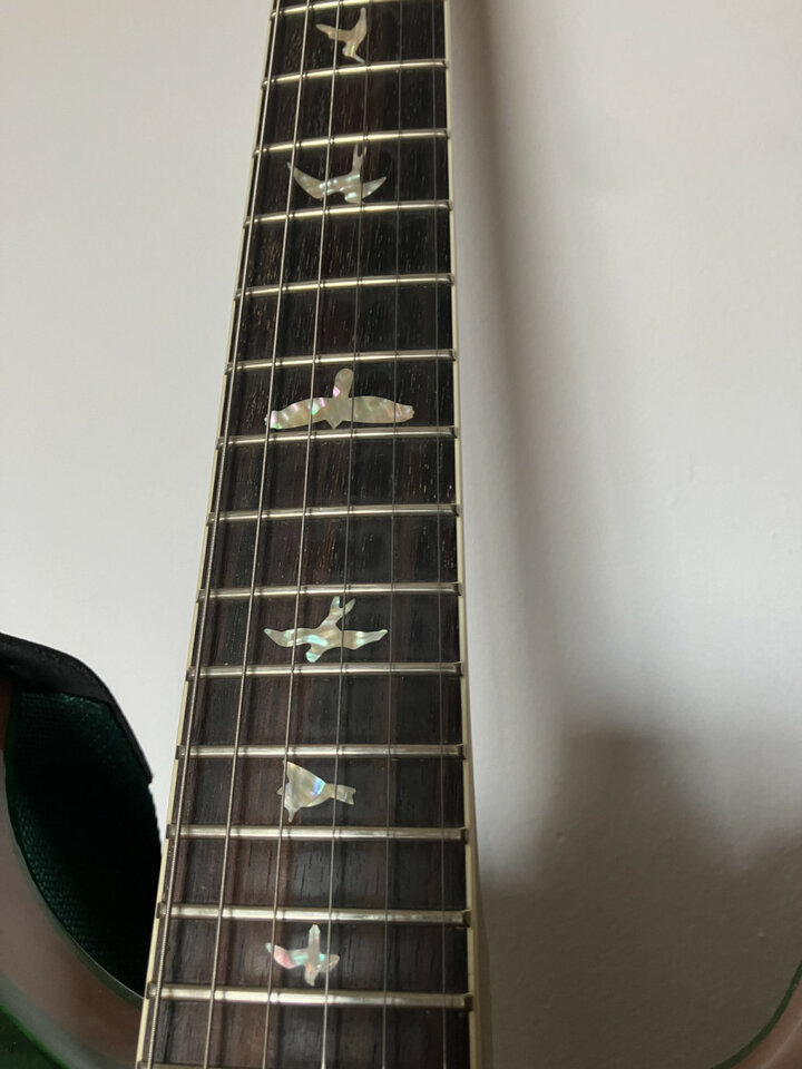 PRS McCarty 594 Hollowbody II 10-Top 2019 Green Burst