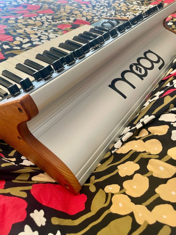 Moog Sub 37 de segunda mano · Foto 5 de 10 · Madrid · 1999 €