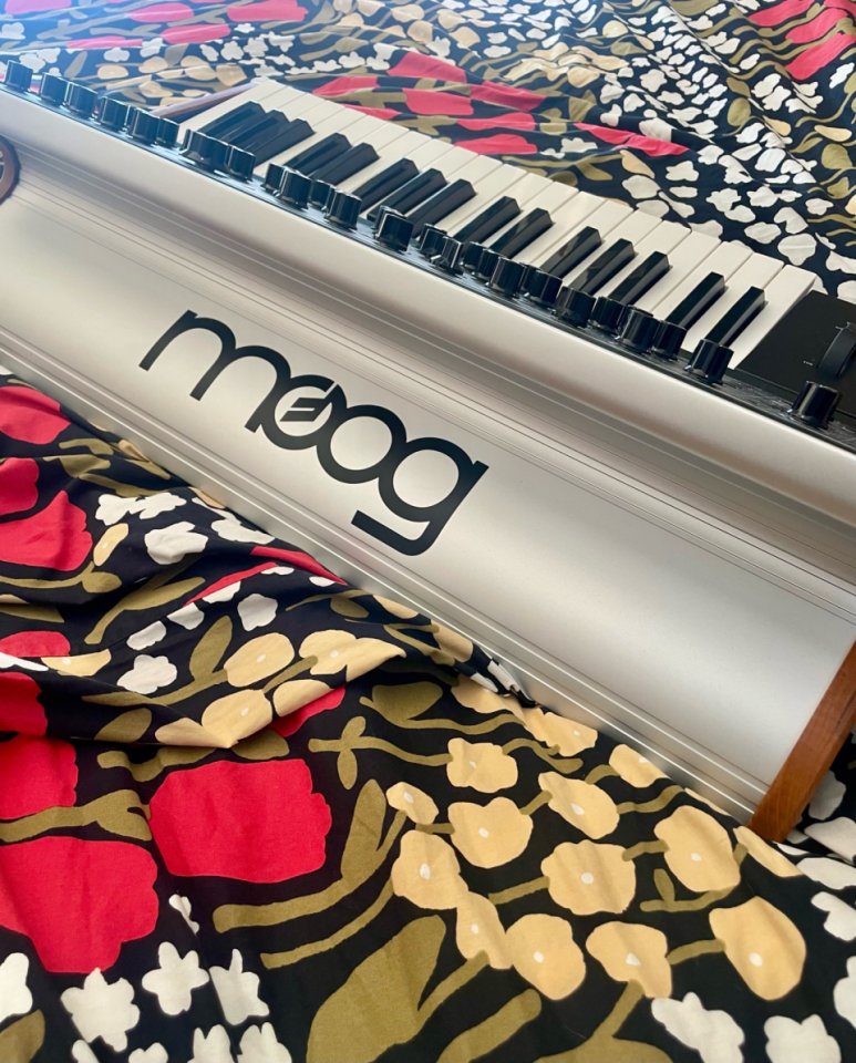 Moog Sub 37 de segunda mano · Foto 6 de 10 · Madrid · 1999 €