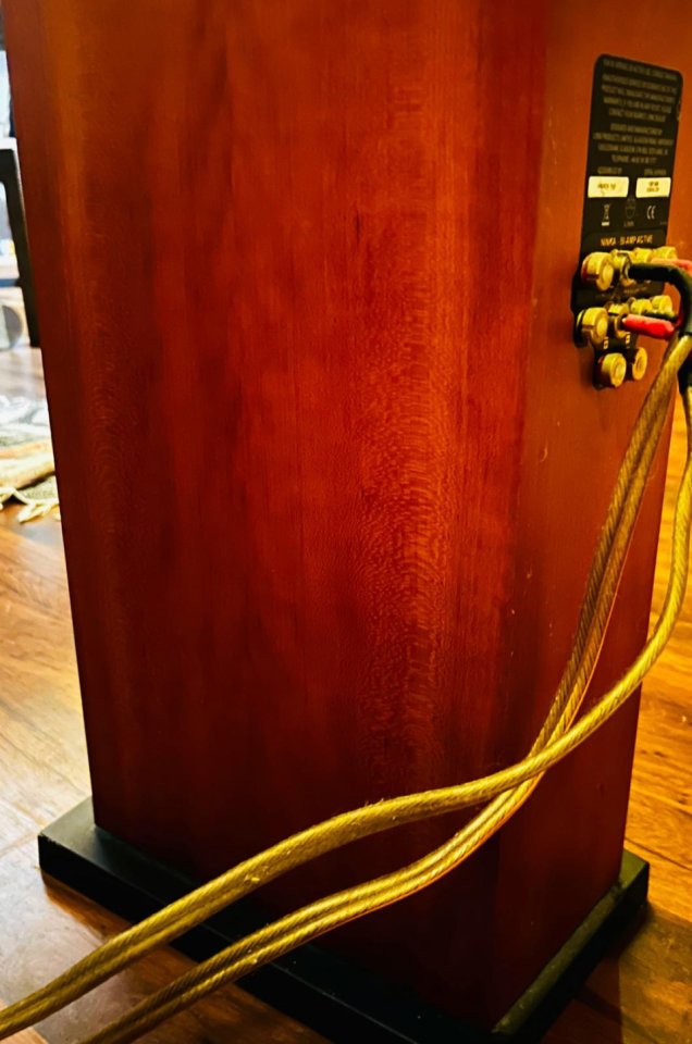 Linn Ninka + Linn cs6100 + unidisk sc