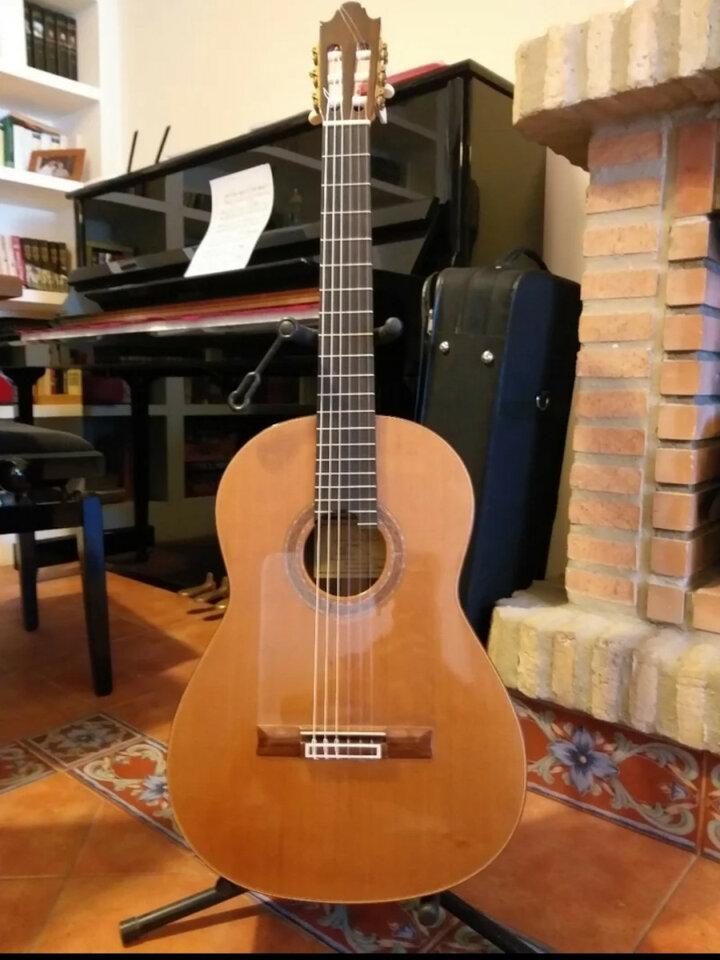 Guitarra Daniel Gil de Avalle