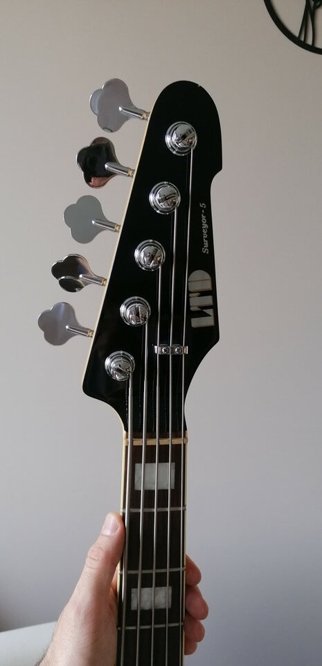 Se vende o cambio Bajo ESP LTD Surveyor 5