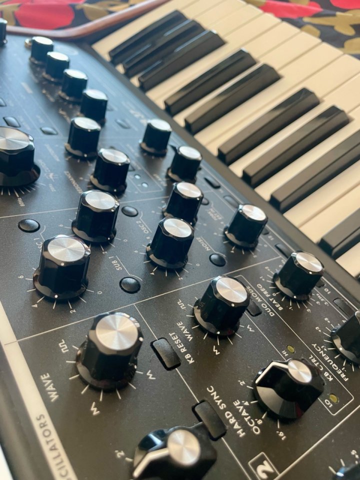 Moog Sub 37 de segunda mano · Foto 8 de 10 · Madrid · 1999 €