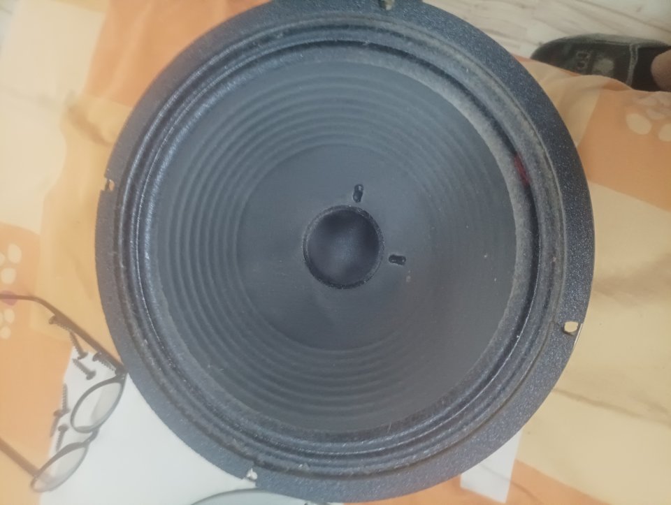 V30 celestion de segunda mano · Foto 3 de 3 · Tarragona · 100 €