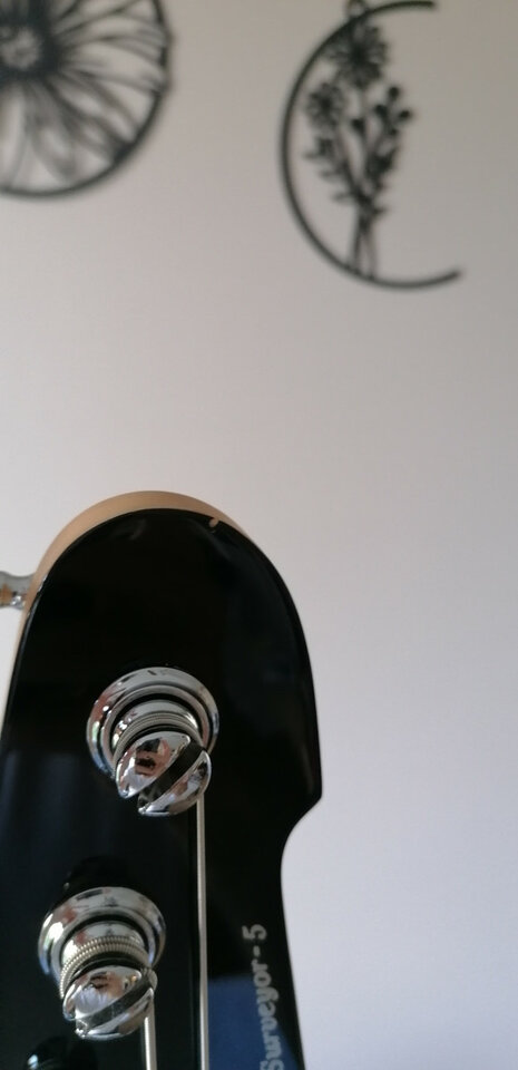 Se vende o cambio Bajo ESP LTD Surveyor 5