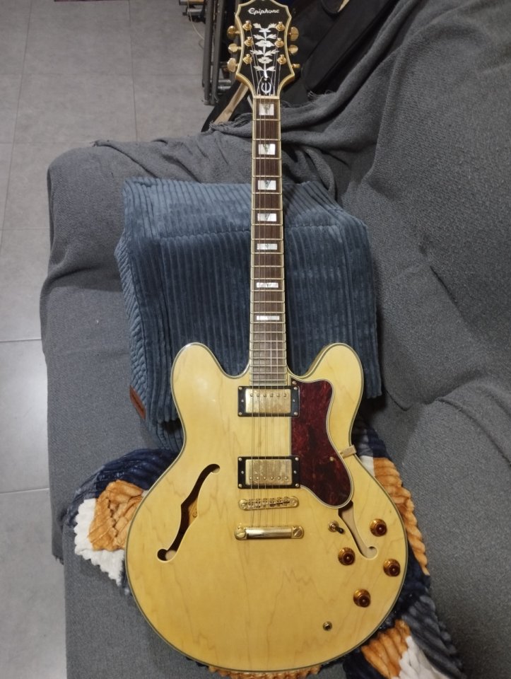 Epiphone Sheraton II de segunda mano · Foto 4 de 6 · Granada · 720 €