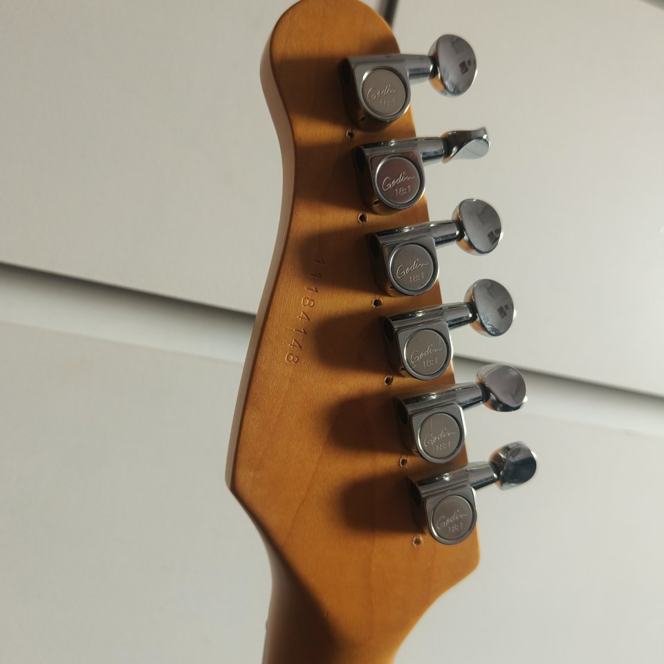 Godin Session HSS 2011