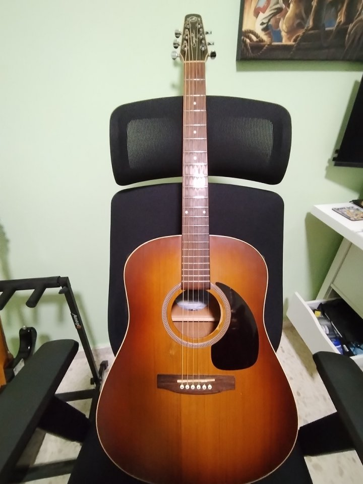 Acústica seagull entourage rustic