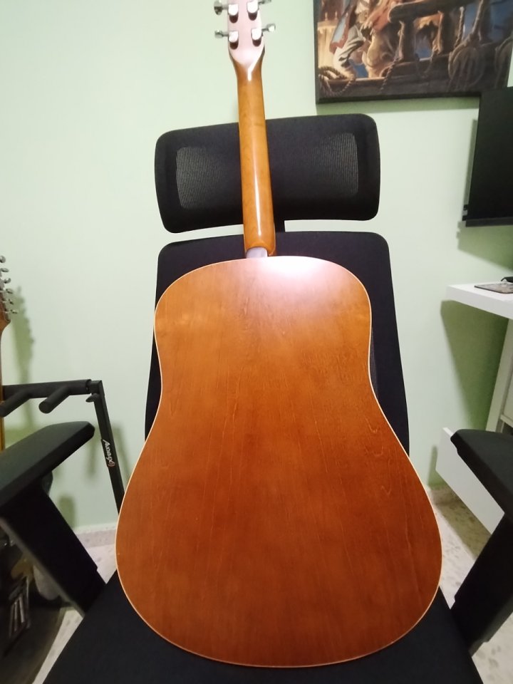 Acústica seagull entourage rustic