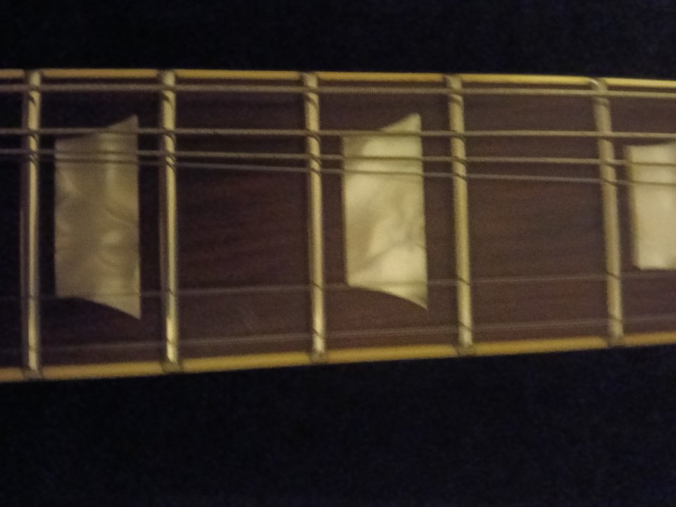 Harley benton sc 550