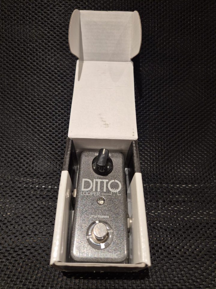 TC Electronic Ditto Looper 2013 - Present Black