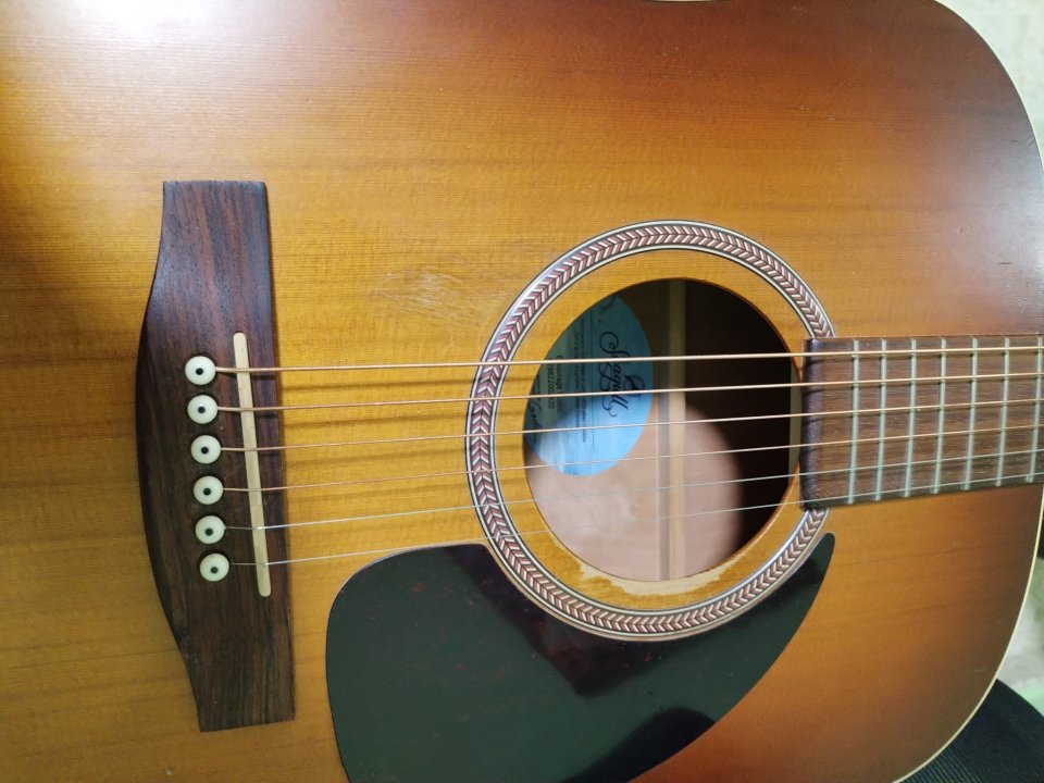 Acústica seagull entourage rustic