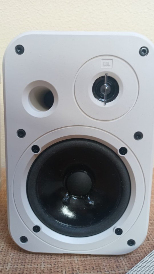 JBL Control 1 Pro Altavoces Blancos (Par)