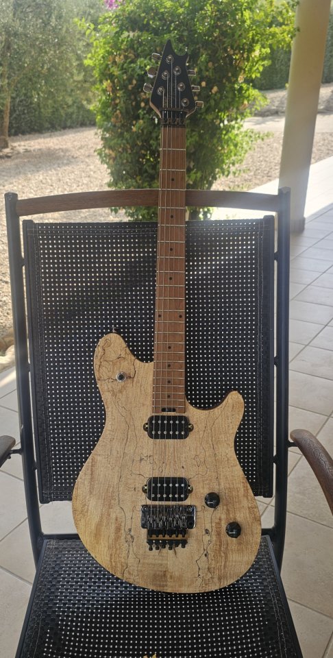 EVH Wolfgang WG Standard Exotic Spalted Maple en acabado Natural. de segunda mano · Foto 1 de 5 · Cáceres · 490 €