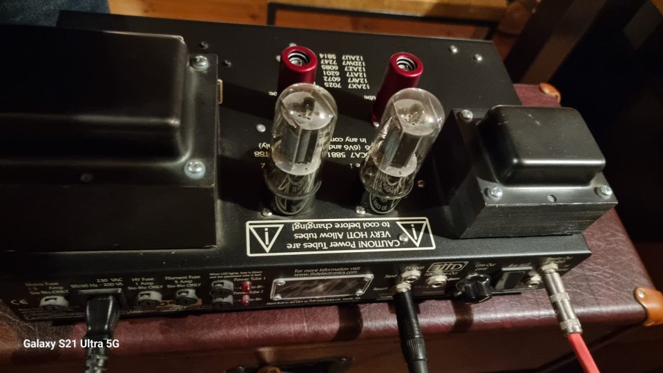 Amplificador THD Bivalve 30 Guitarra de segunda mano · Foto 6 de 7 · Girona · 800 €