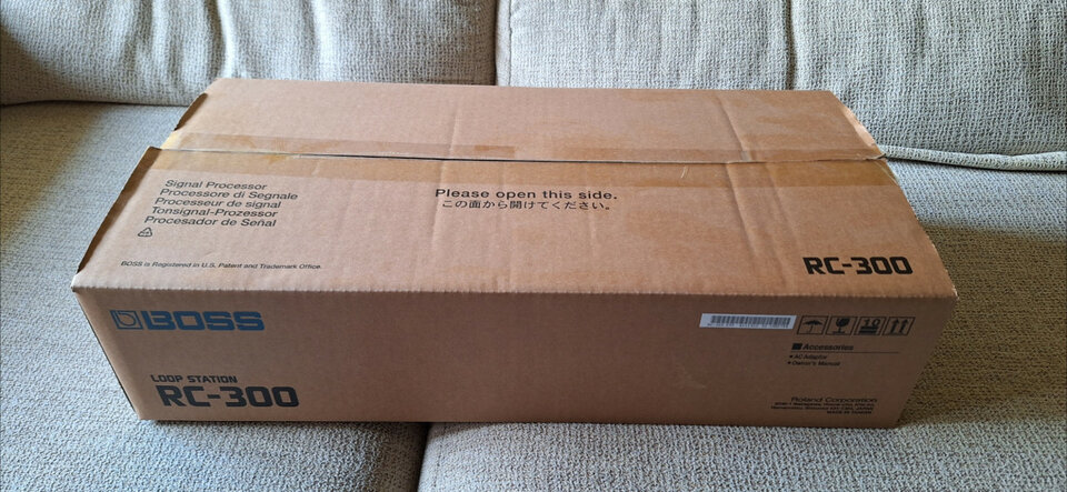 Boss RC300