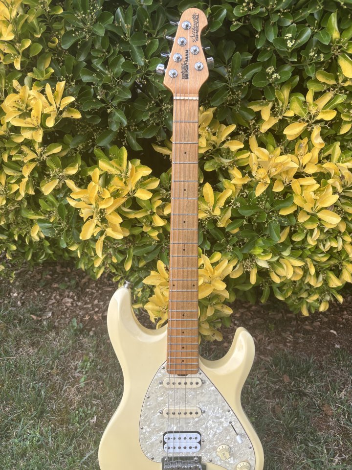 MusicMan Silhouette Special (Pastis Suhr) de segunda mano · Foto 1 de 2 · Cantabria · 1600 €