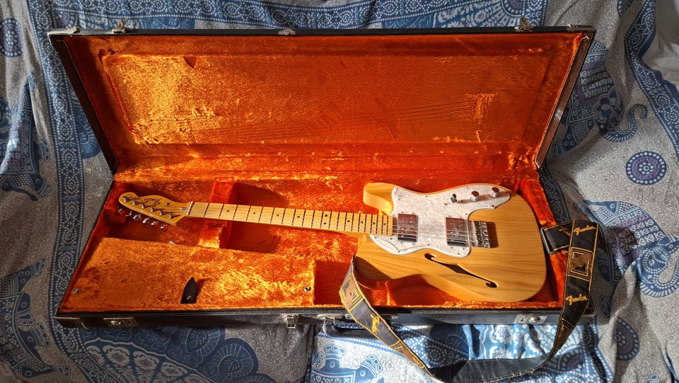 Fender AV II 72 Tele Thinline MN AGN